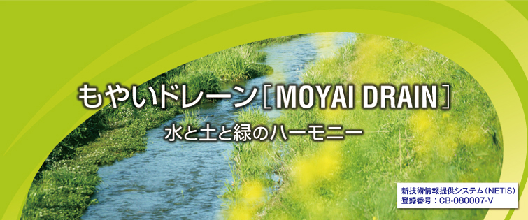 MOYAI DRAIN Harmony of Water, Earth and Greenery