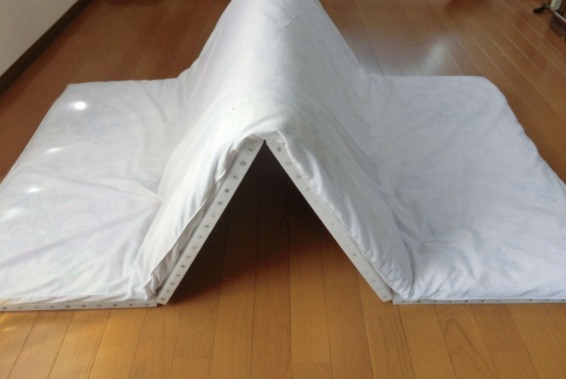 活用事例